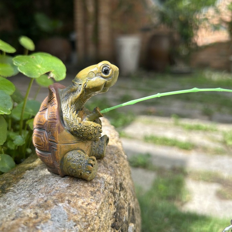 Aquarium Planting Ideas - Черепаха, рыбалка, аквариум, украшение для аквариума,