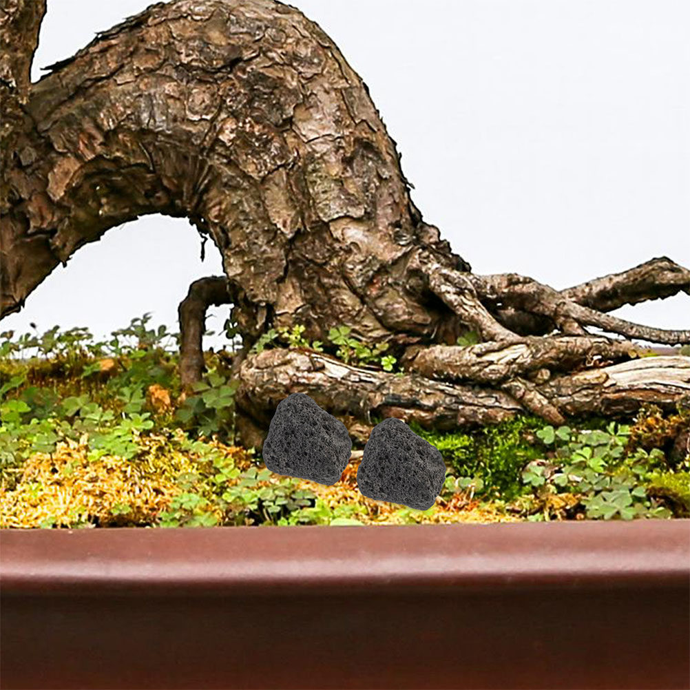 Aquarium Planted Tank Filter - Вулканические камни для аквариума, натуральные мелкие