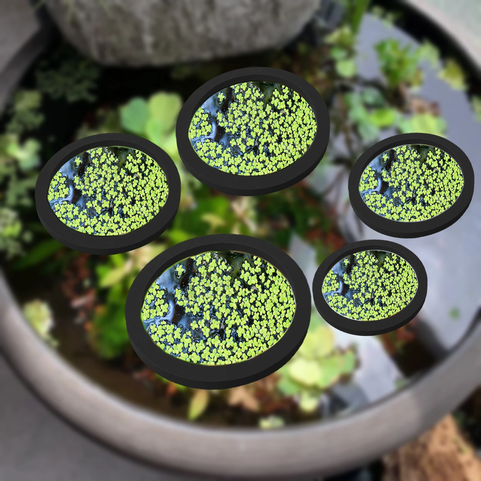 Aquarium Plant - 5 шт., кольцо для кормления рыб