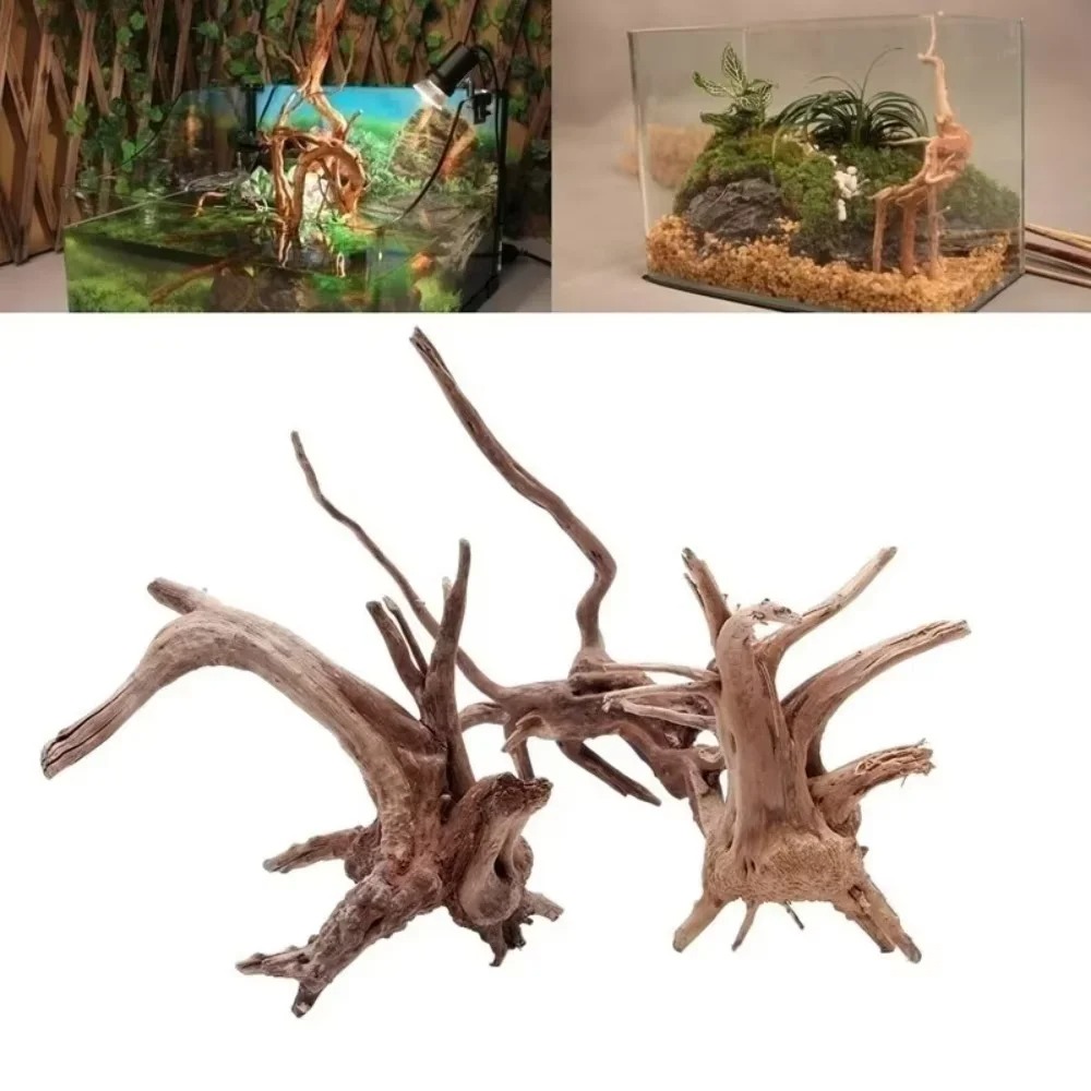 Aquarium Planting Ideas - Декор для аквариума из натурального коряги