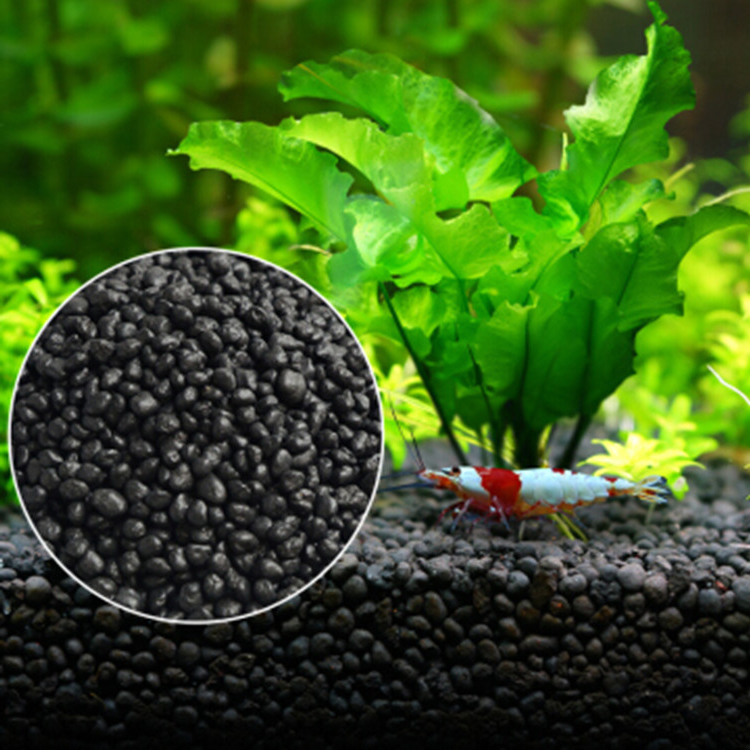 Tissue Culture Plant - Семена аквариумных растений, подложка для аквариума,