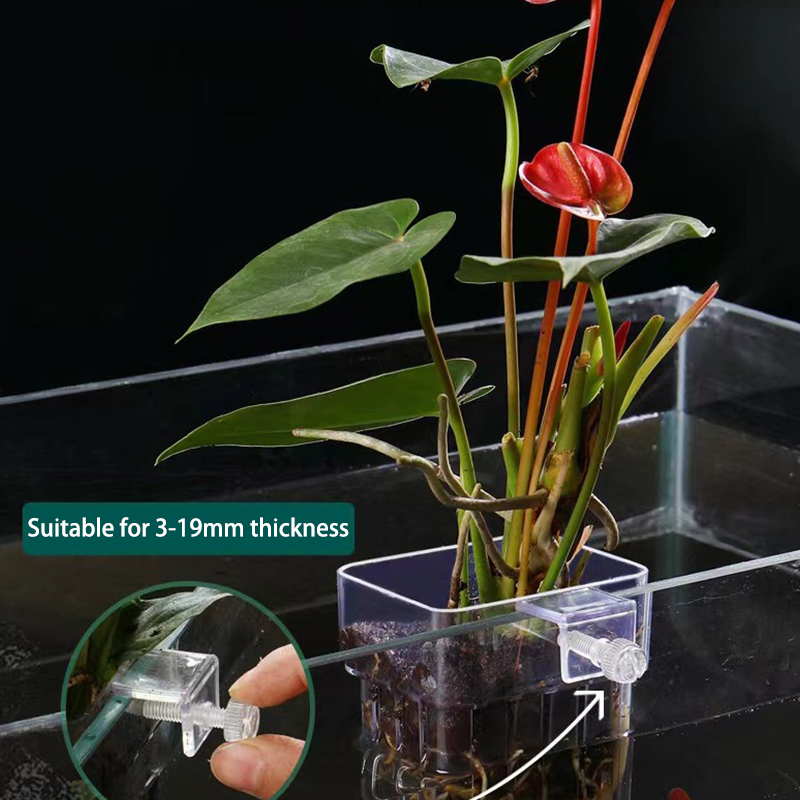 Aquarium Plant Grass - Многофункциональная коробка для изоляции аквариума