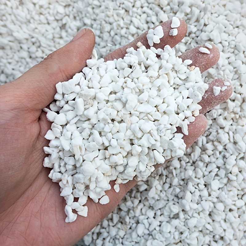 Tissue Culture Plant - 1 упаковка перлитового грунта для садоводства