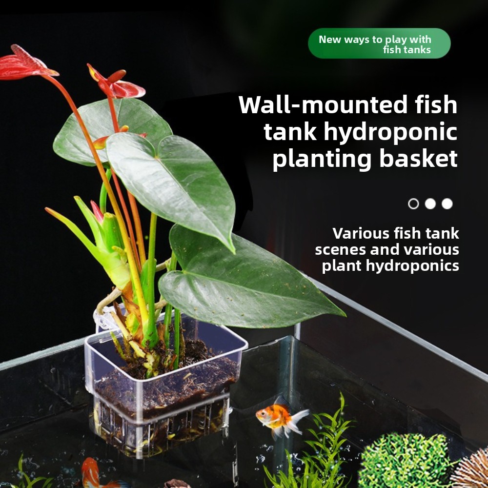 Aquarium Plant Grass - Корзина для гидропоники в аквариуме, стакан