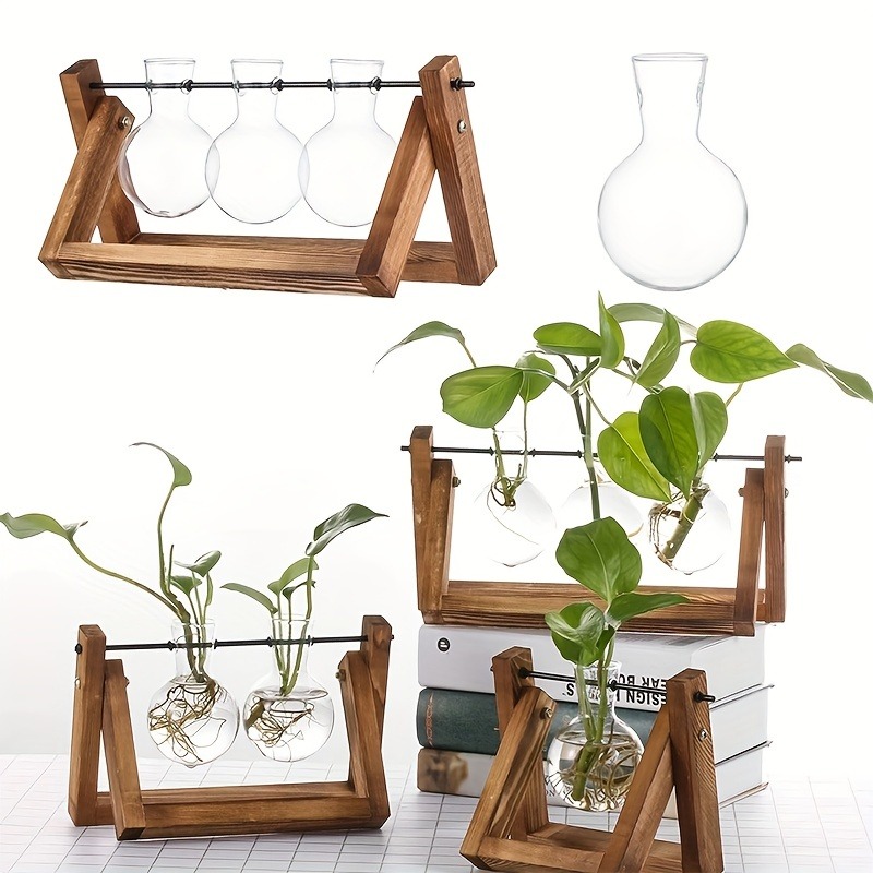 Tissue Culture Plant - Настольный стеклянный кашпо, станция для размножения,