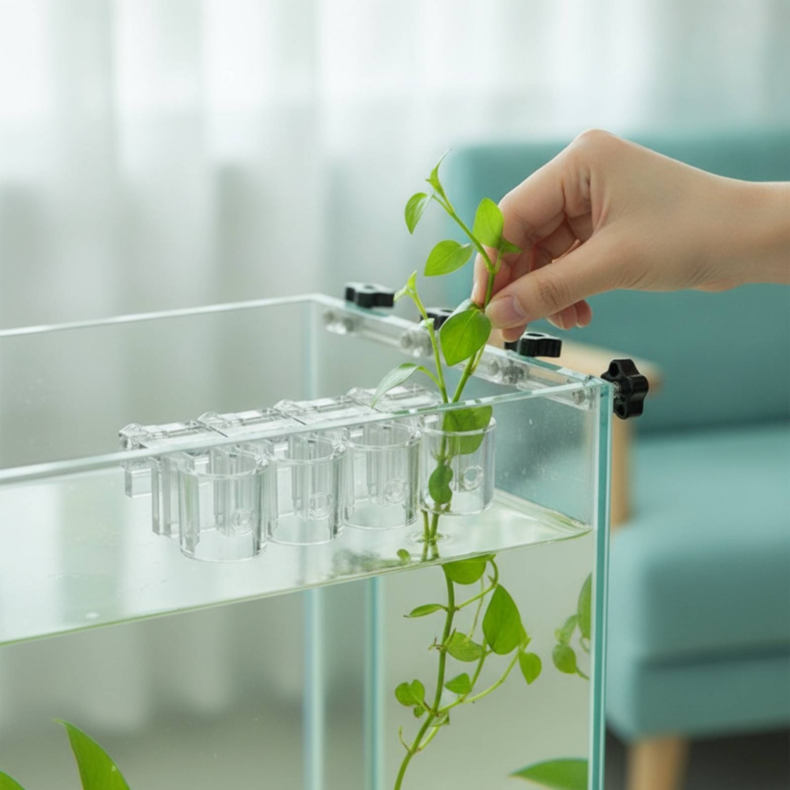 Набор из 6 прозрачных гидропон – обзор и цена Aquarium Plant