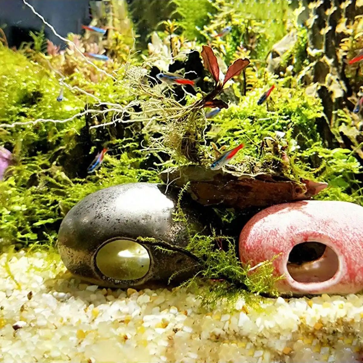 1 шт.-250 г натуральные криста – обзор и цена Aquarium Plant Gravel
