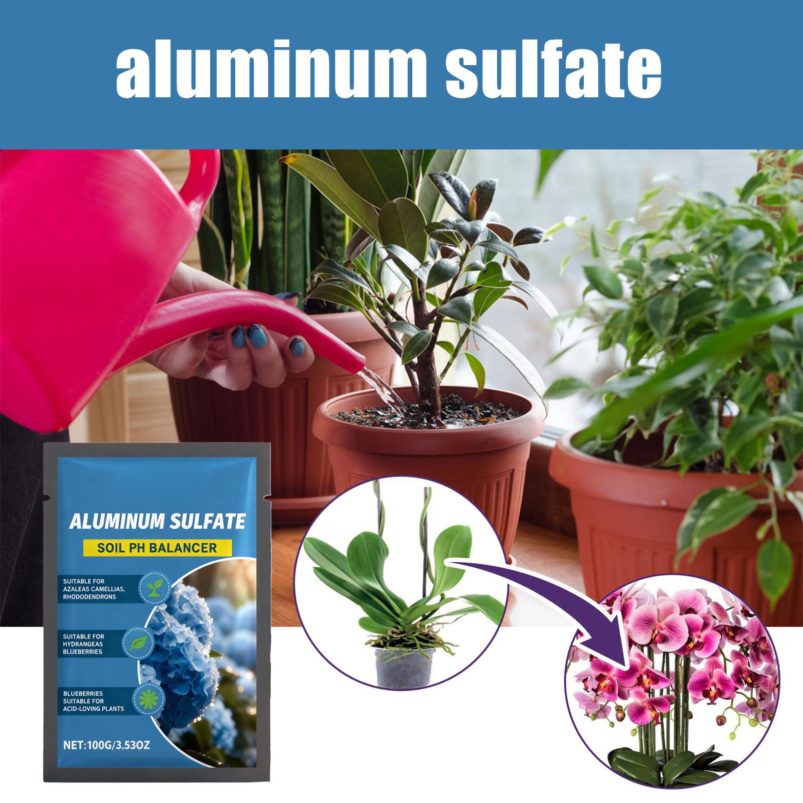 Концентрированная кислотная до – обзор и цена Tissue Culture Plant