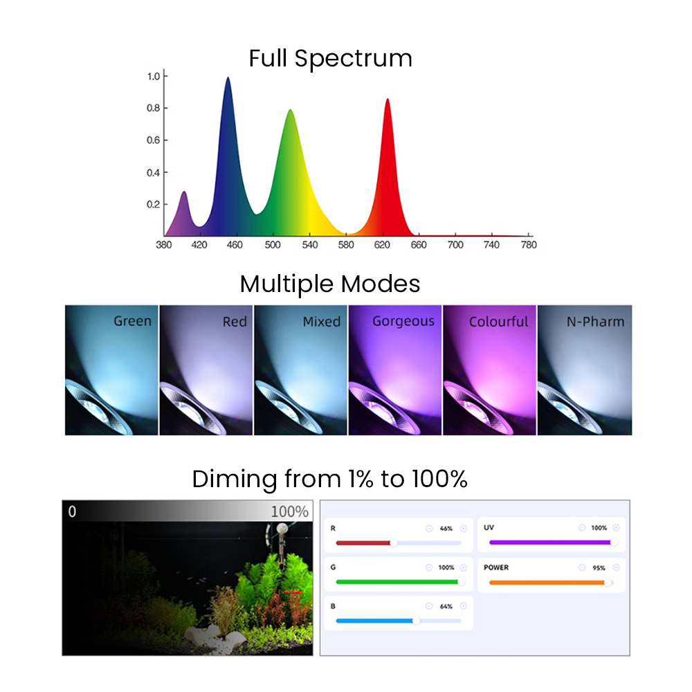 Полный спектр Bluetooth 3.0 Ap – обзор и цена Aquarium Plant