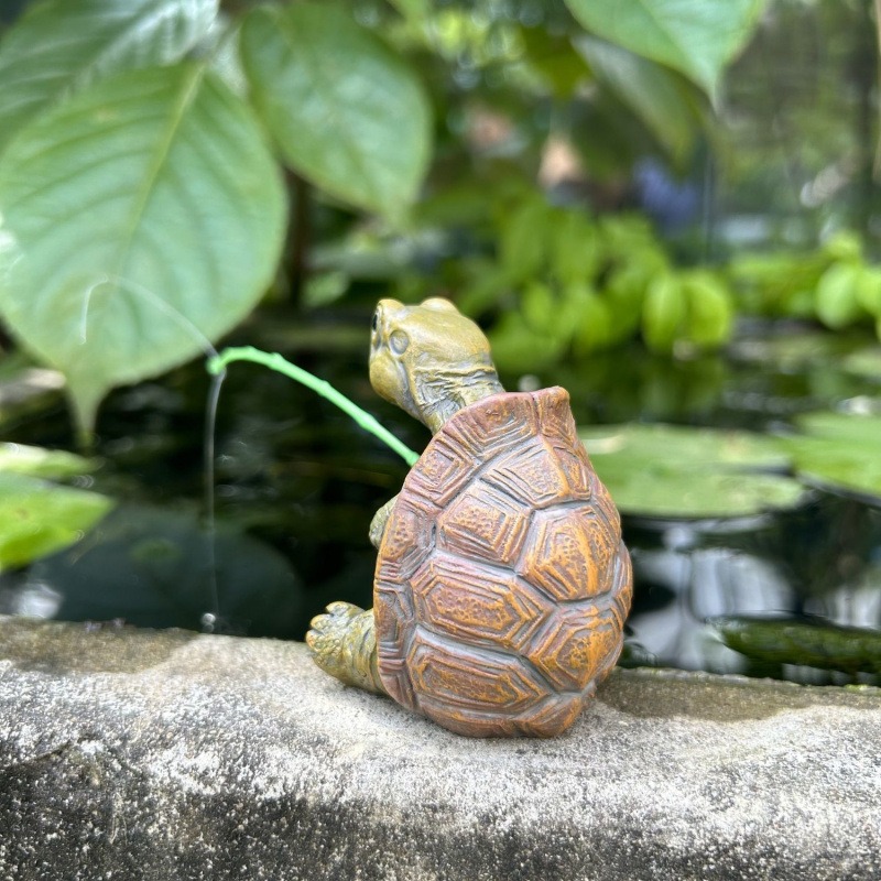 Черепаха, рыбалка, аквариум, у – обзор и цена Aquarium Planting Ideas