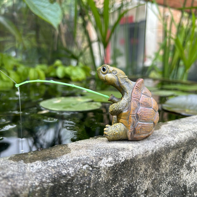 Черепаха, рыбалка, аквариум, у – обзор и цена Aquarium Planting Ideas
