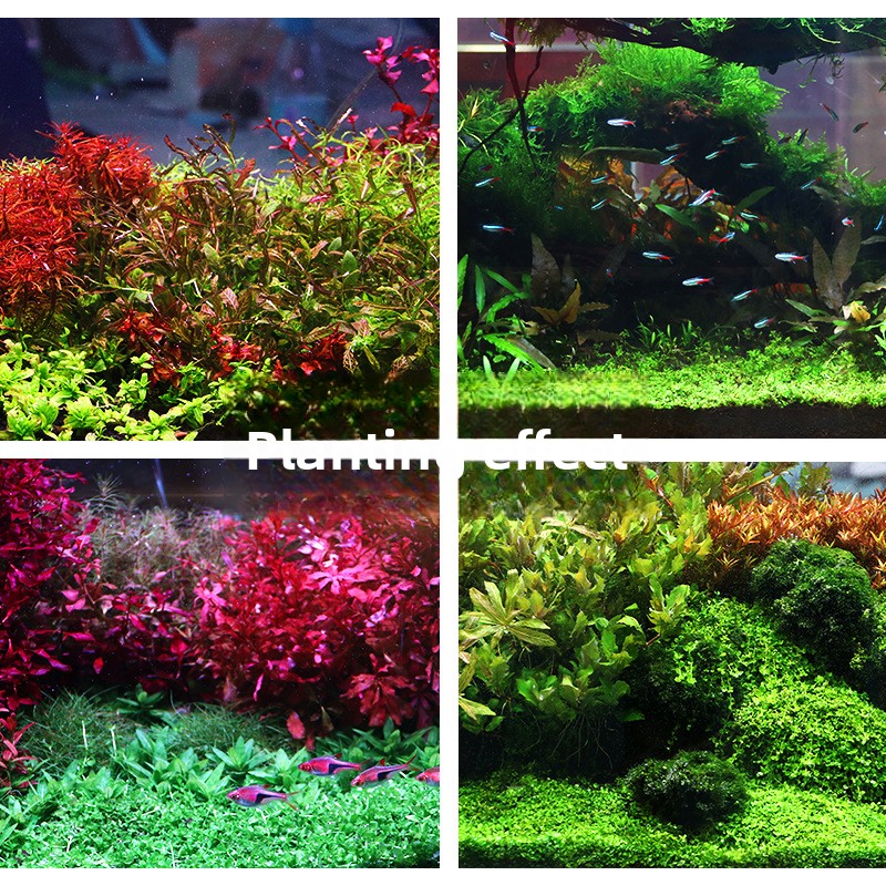SYSENCIAGA посаженная аквариум – обзор и цена Aquarium Plant Gravel