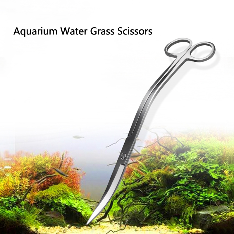 Изогнутые аквариумные ножницы  – обзор и цена Aquarium Plant Grass