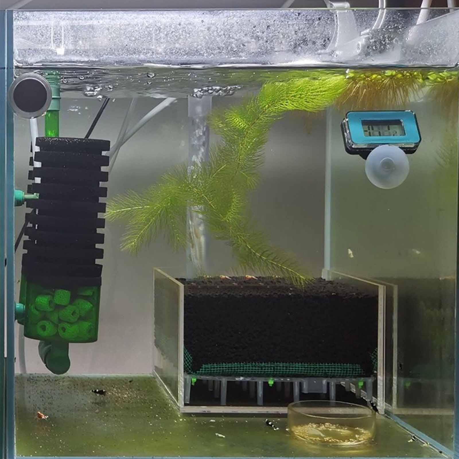 Акриловый фильтр для аквариума – обзор и цена Aquarium Plant Gravel