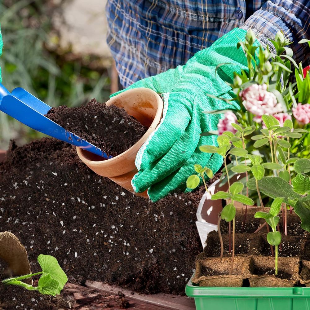 Смесь грунта для рассады Seed  – обзор и цена Tissue Culture Plant
