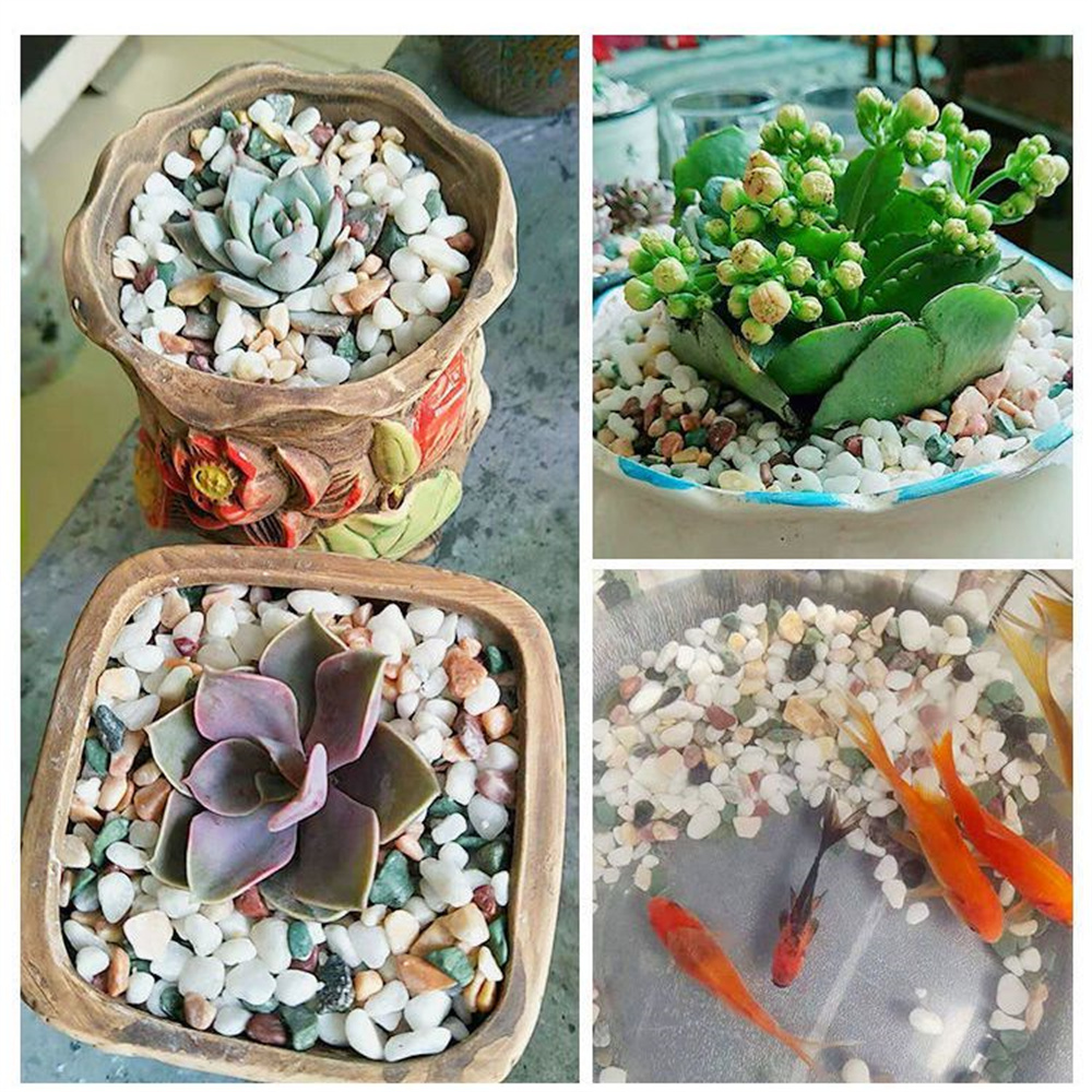 50/100 г натуральные кристаллы – обзор и цена Planted Aquarium With Sand