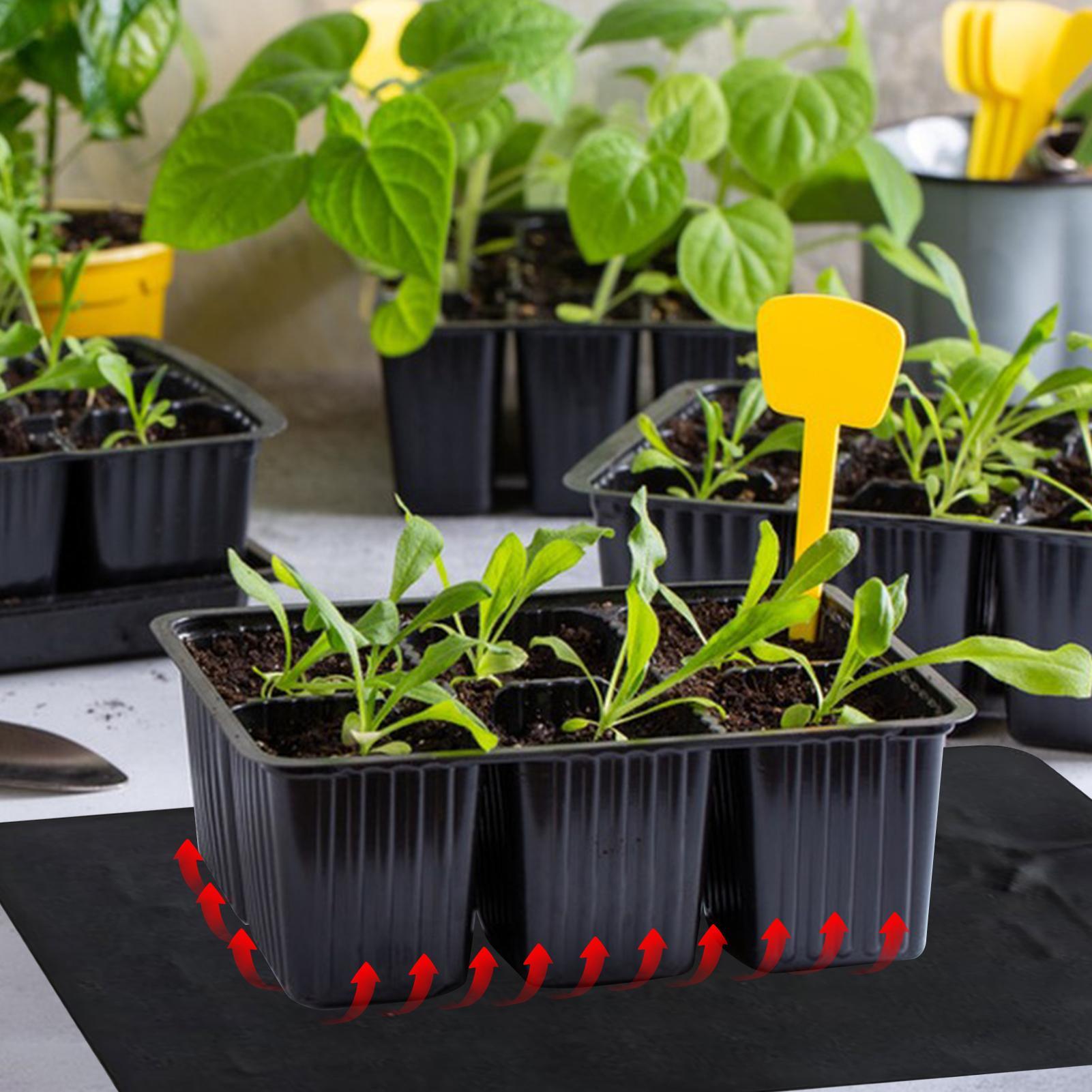 USB-грелки для рассады 8,5 Вт  – обзор и цена Tissue Culture Plant