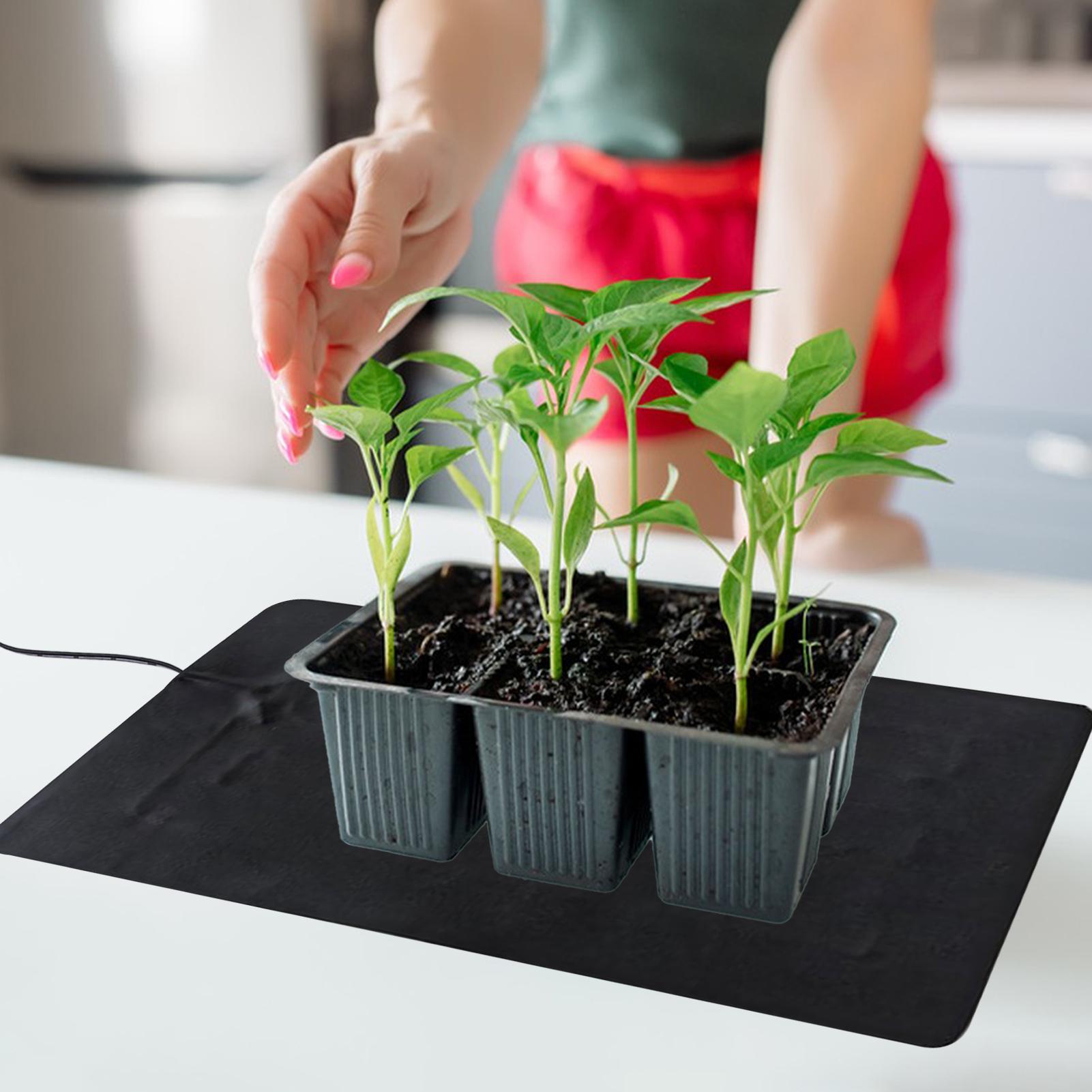 USB-грелки для рассады 8,5 Вт  – обзор и цена Tissue Culture Plant
