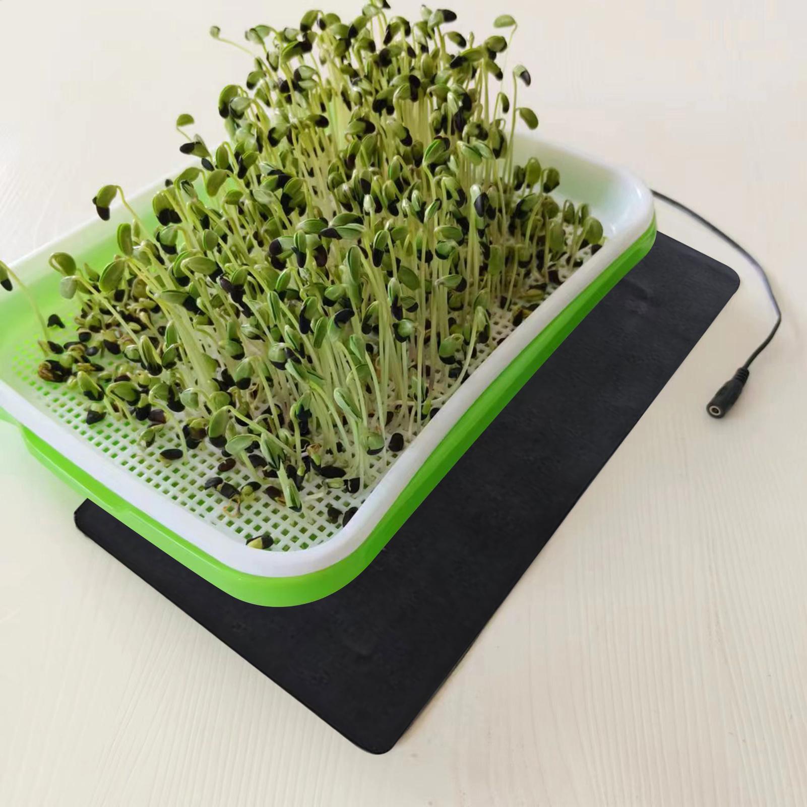 USB-грелки для рассады 8,5 Вт  – обзор и цена Tissue Culture Plant