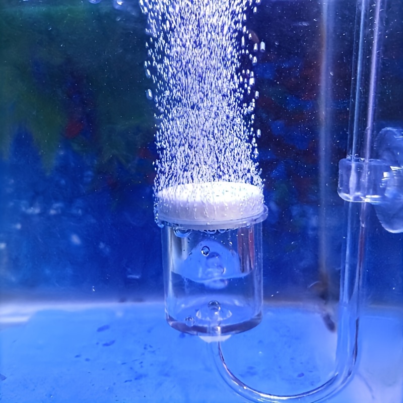 Аквариумный стеклянный распыли – обзор и цена Aquarium Plant Delivery