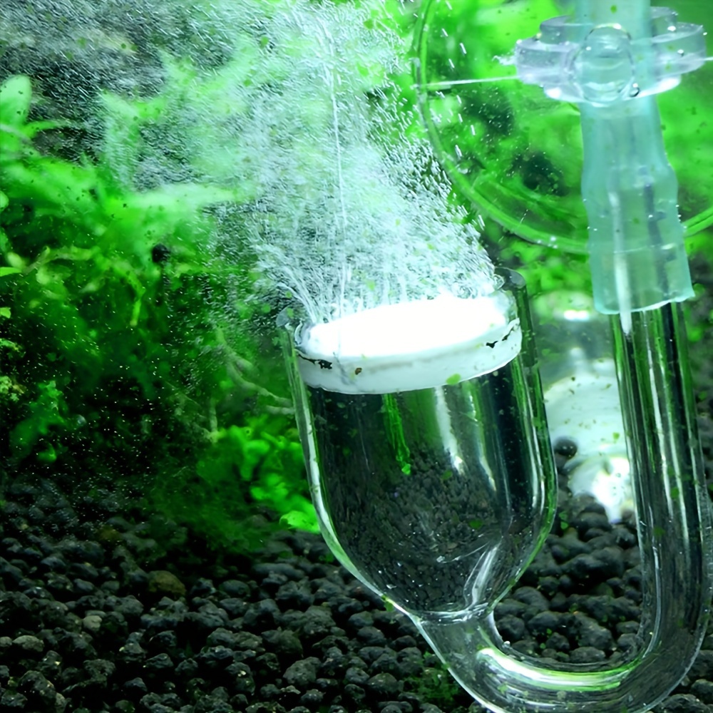 Аквариумный стеклянный распыли – обзор и цена Aquarium Plant Delivery