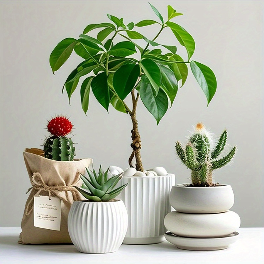 200/400 г белые полированные н – обзор и цена Aquarium Plant
