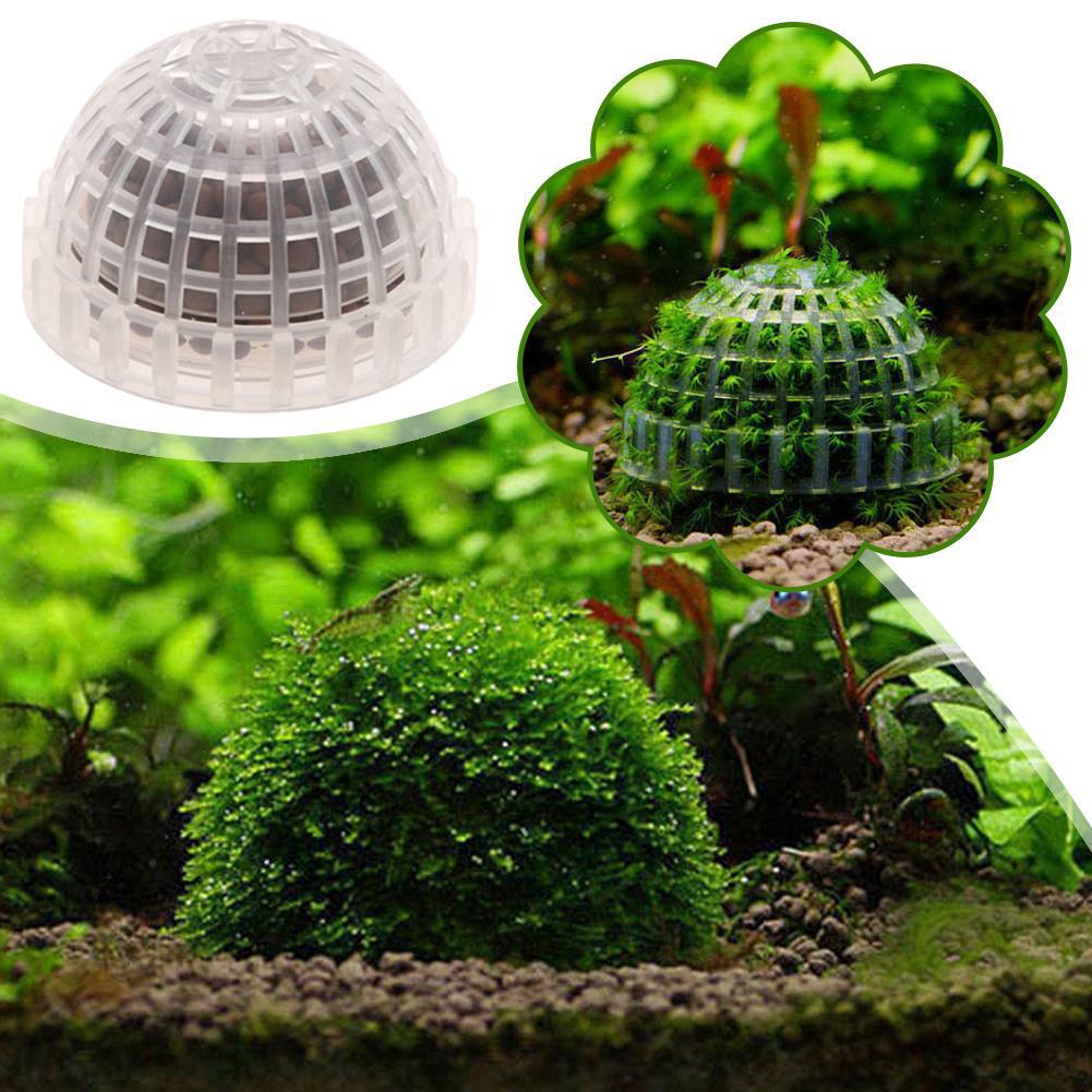 1/2/3/4/5 шт. Декоративные рас – обзор и цена Aquarium Planted Tank Filter