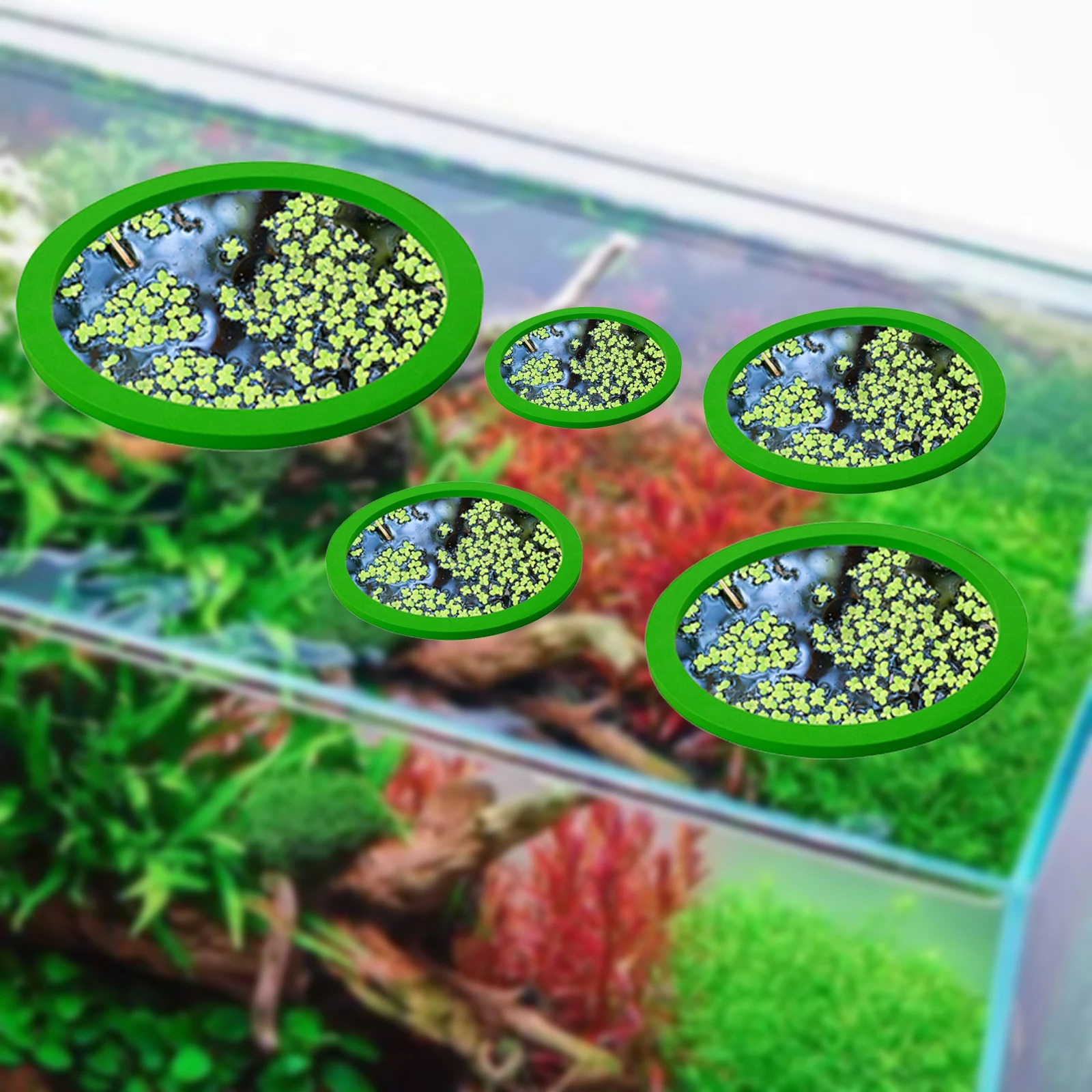 5 шт., кольцо для кормления ры – обзор и цена Aquarium Plant