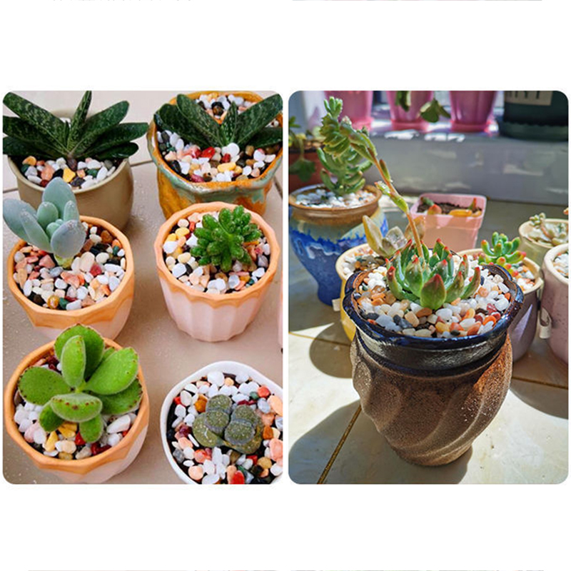 Наполнитель для аквариума: гру – обзор и цена Aquarium Plant Gravel