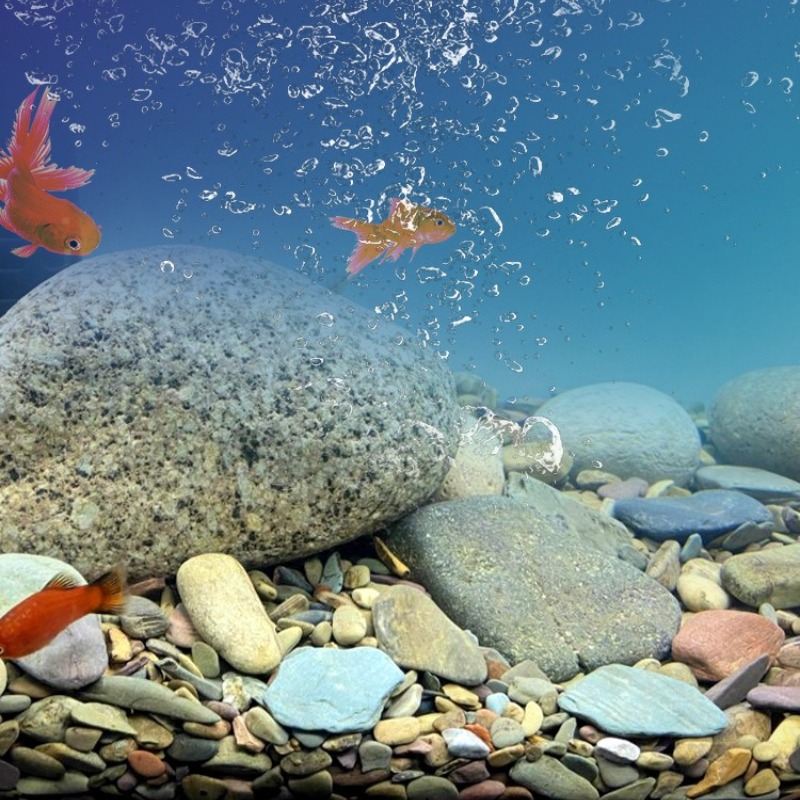Природный грунт для аквариума  – обзор и цена Planted Aquarium With Sand