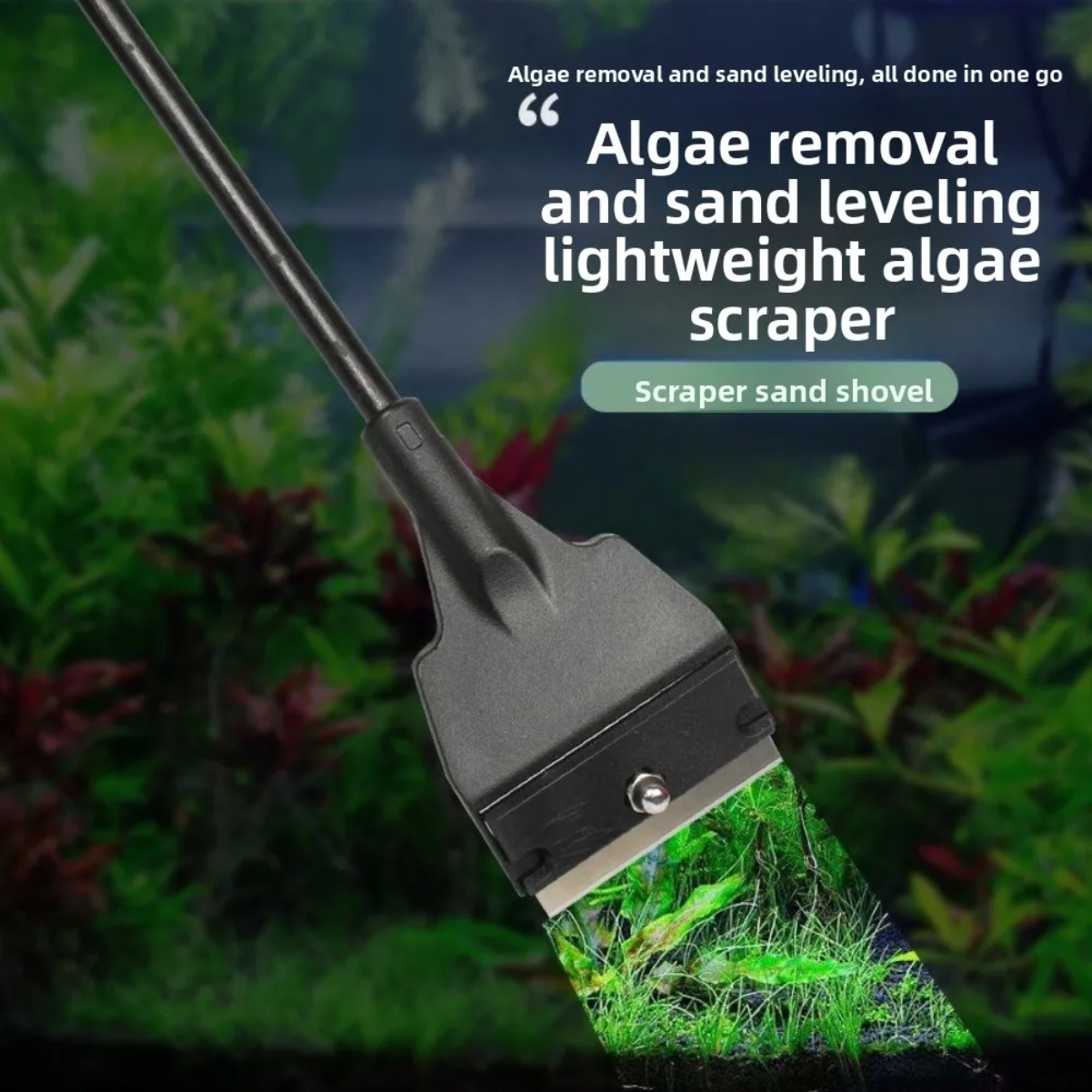 Скребок для стекла аквариума о – обзор и цена Planted Aquarium With Sand