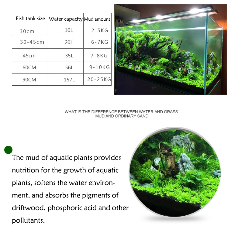 Семена аквариумных растений, п – обзор и цена Tissue Culture Plant