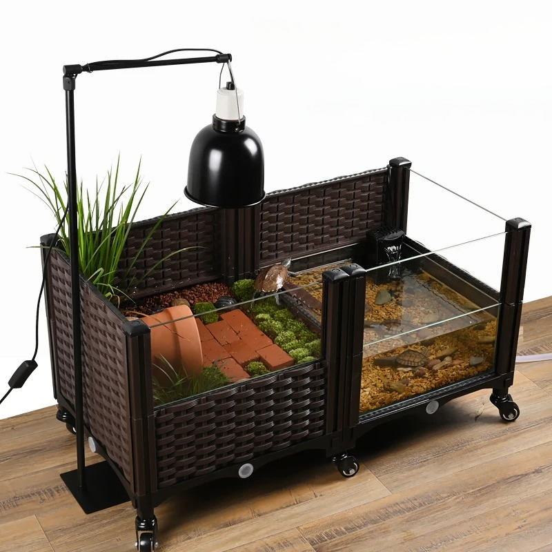 Эко-черепаховый резервуар с гр – обзор и цена Aquarium Plant Yellowing