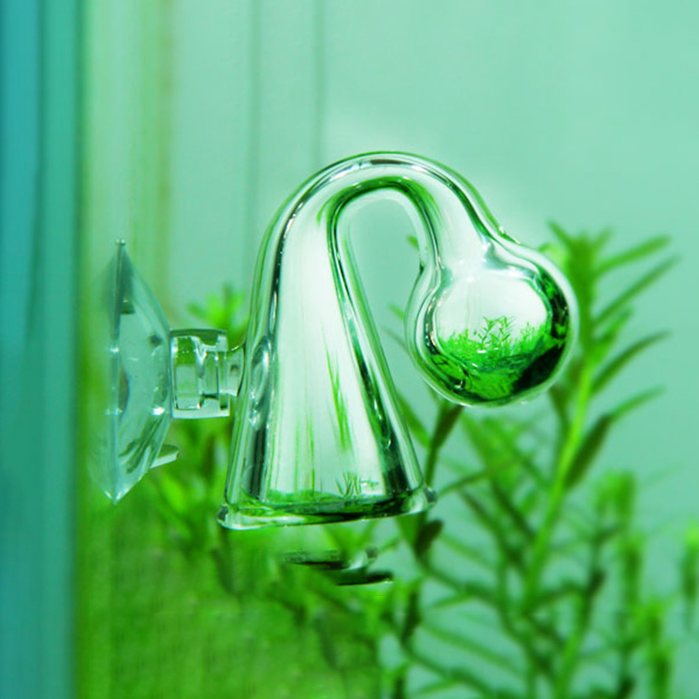 Аквариум CO2, диффузное стекло – обзор и цена Aquarium Plant Delivery