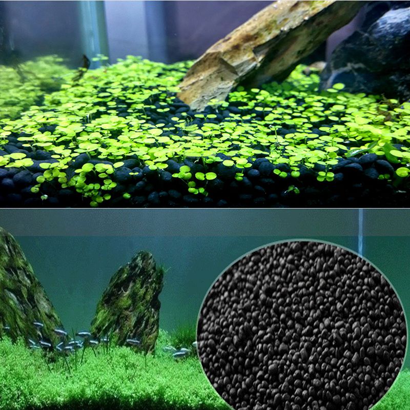 Рыбный песок, подложка для акв – обзор и цена Planted Aquarium With Sand