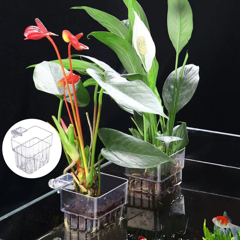 Многофункциональная коробка дл – обзор и цена Aquarium Plant Grass