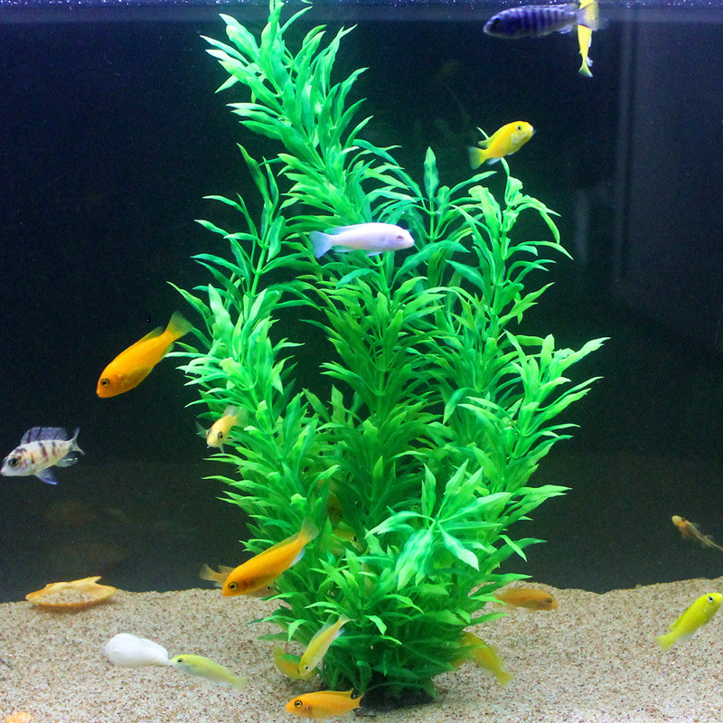 50 см искусственный аквариум р – обзор и цена Aquarium Planting Ideas