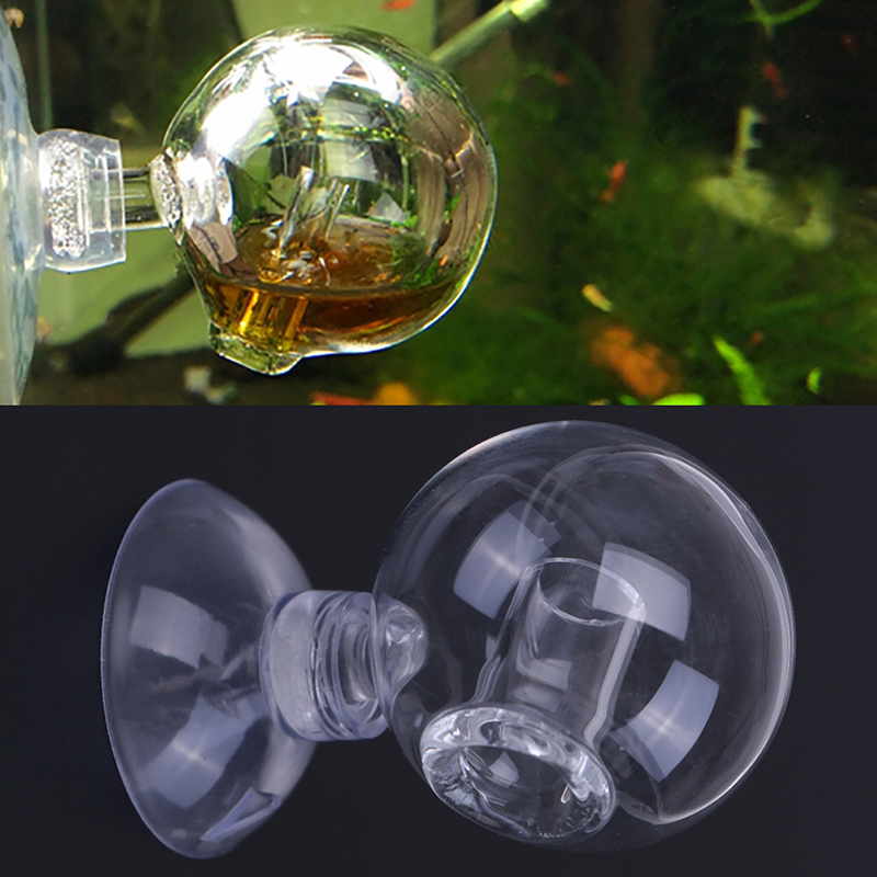 Диффузное стекло CO2 для прове – обзор и цена Aquarium Planting Ideas