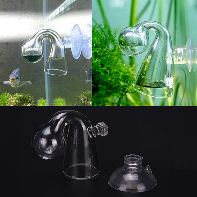 Диффузное стекло CO2 для прове – обзор и цена Aquarium Planting Ideas