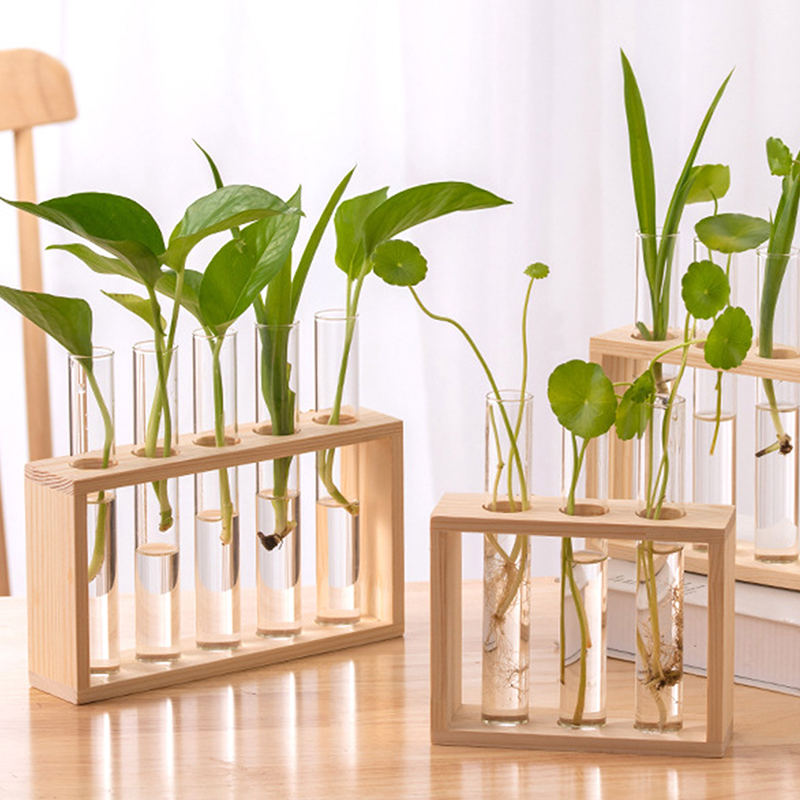 Контейнер для гидропонных раст – обзор и цена Tissue Culture Plant