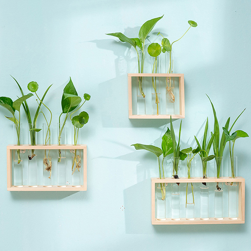 Контейнер для гидропонных раст – обзор и цена Tissue Culture Plant