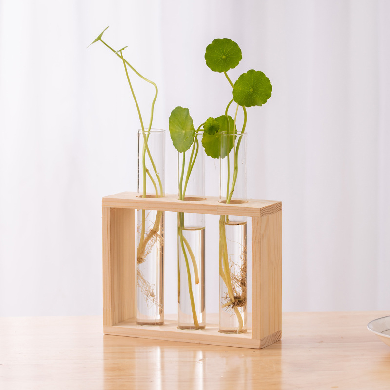 Контейнер для гидропонных раст – обзор и цена Tissue Culture Plant