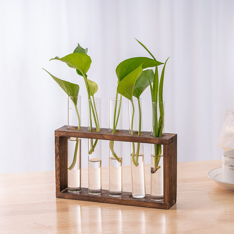 Контейнер для гидропонных раст – обзор и цена Tissue Culture Plant