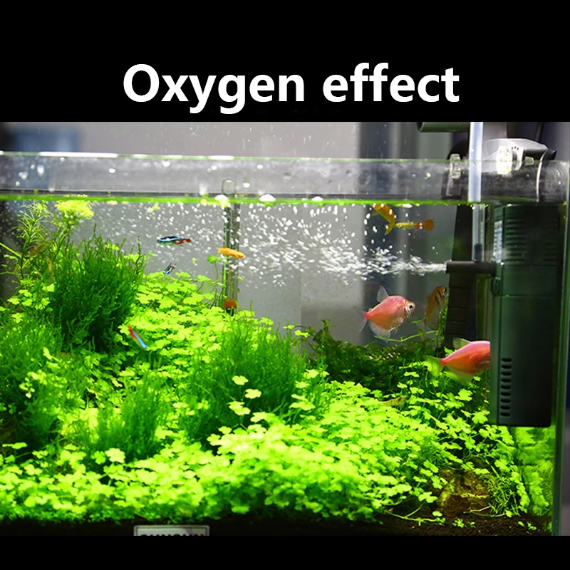 SUNSUN mini nano 111B 311B 611 – обзор и цена Aquarium Planted Tank Filter
