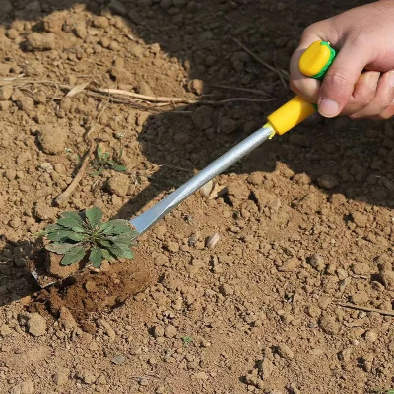 1 шт. Т-образная лопатка, лопа – обзор и цена Tissue Culture Plant
